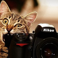 Photo Rus ShigapOff Portrait of a photographer (avatar) Rus ShigapOff