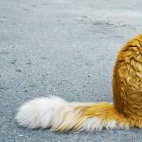 Portrait of a photographer (avatar) Юрий Кузьмин (Yurii Kuzmin)