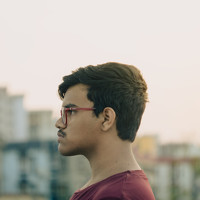 Portrait of a photographer (avatar) Dhritiman Mandal