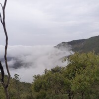Portrait of a photographer (avatar) Renato Manuel Monteiro (Renato Manuel Varela monteiro)