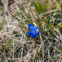 Photo Мария Казакова (Maria Kazakova) Portrait of a photographer (avatar) Мария Казакова (Maria Kazakova)