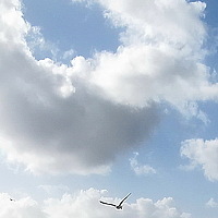 Portrait of a photographer (avatar) ТАТЬЯНА ЗАХАРОВА (TATYANA ZAKHAROVA)