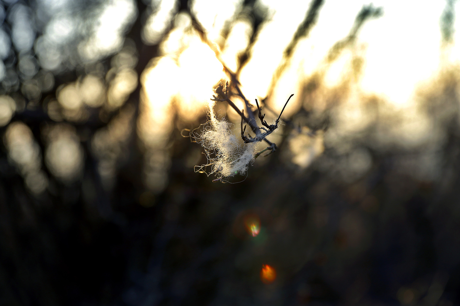 35Photo banner for @freelance