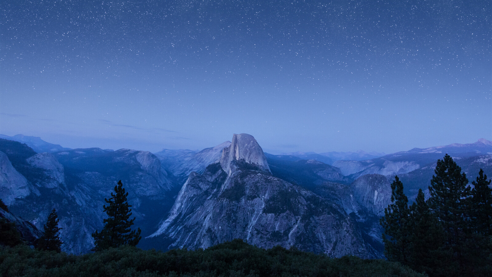 35Photo banner for @twelve