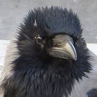 35Photo profile picture for @bewitched