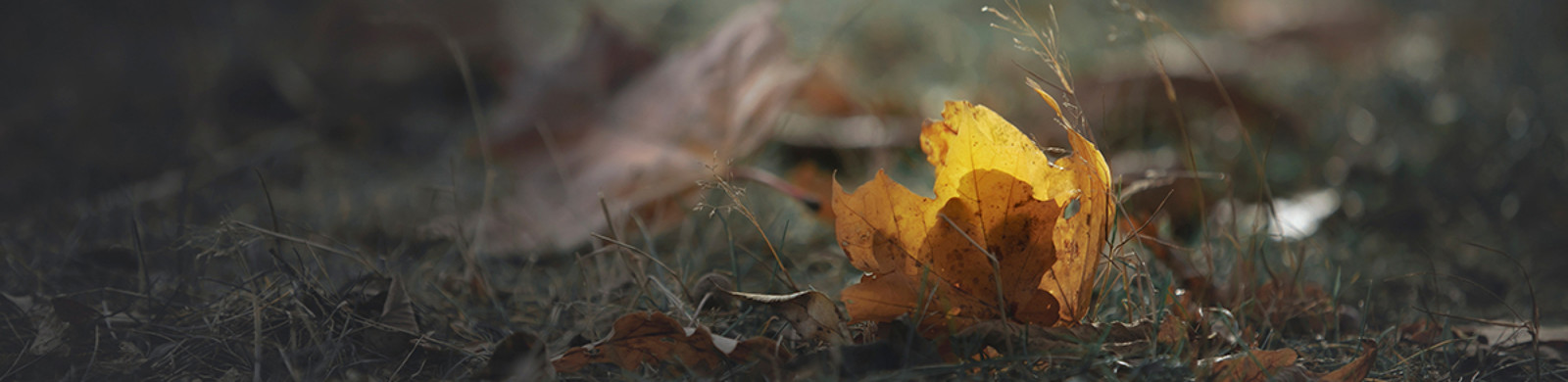 35Photo banner for @erica
