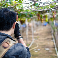 Portrait of a photographer (avatar) Thanh Tran (Tran Ngoc Thanh)