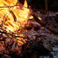 35Photo profile picture for @faraway