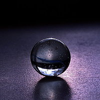 35Photo profile picture for @wilcox