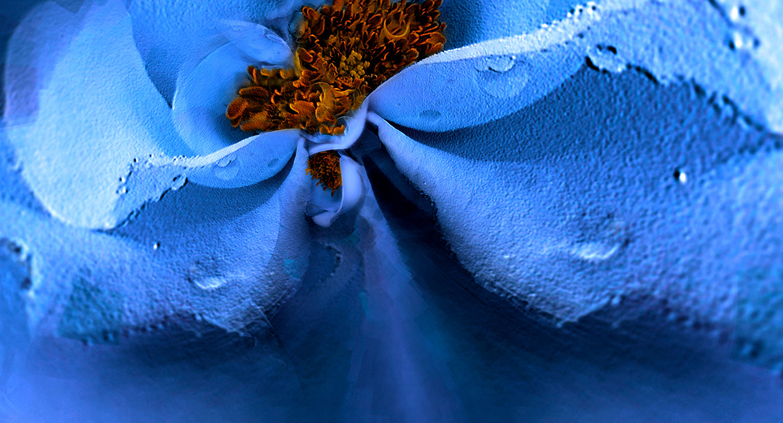 35Photo banner for @carmen