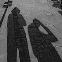 Portrait of a photographer (avatar) awdraw wadaw (dawdaw awdaw)