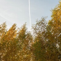 Portrait of a photographer (avatar) Нина Зорина