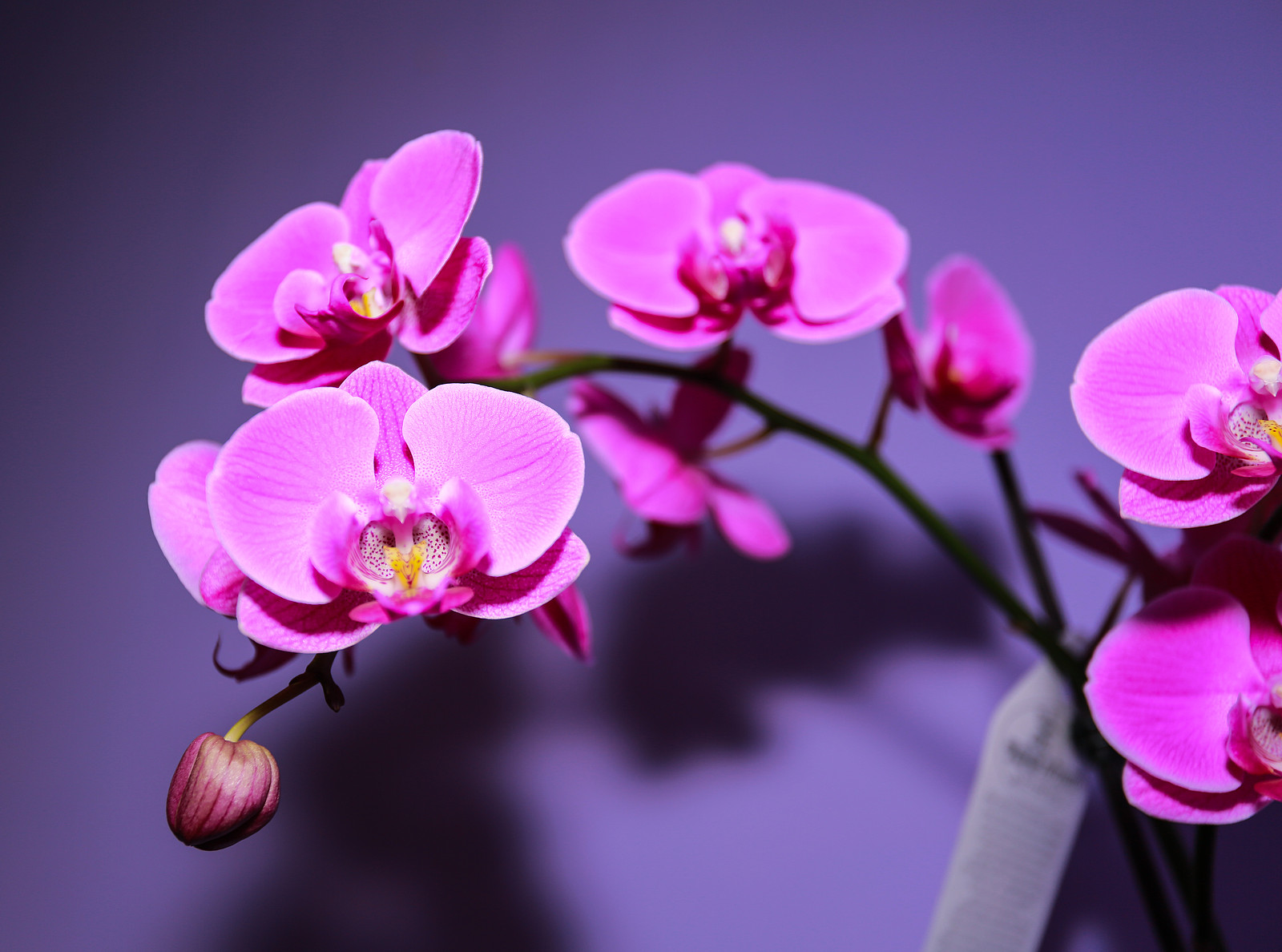 35Photo banner for @sabrina