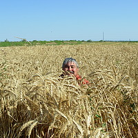 Portrait of a photographer (avatar) Анатолий Исабеков