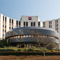 Portrait of a photographer (avatar) Electric Elf