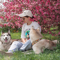 Photo Валерия Васина (Valeria Vasina) Portrait of a photographer (avatar) Валерия Васина (Valeria Vasina)