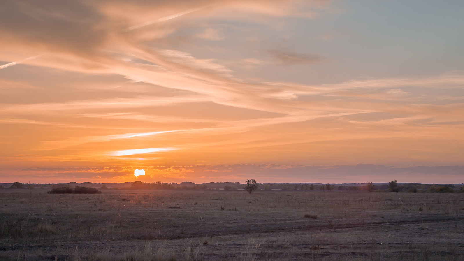 35Photo banner for @mani
