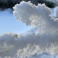 Photo Evgeny Sadykov Portrait of a photographer (avatar) Evgeny Sadykov