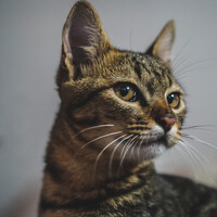 Portrait of a photographer (avatar) Lương Trần (Tran Duc Luong)