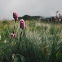 Portrait of a photographer (avatar) Мария Вранковская (Maria Vrankovskaya)