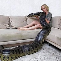 Portrait of a photographer (avatar) Шурик Шурик (Alex)