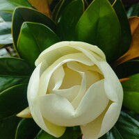 Portrait of a photographer (avatar) Наталья Билай (Natalya Bilay)