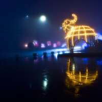 Photo Игорь Белявцев (Igor White) Portrait of a photographer (avatar) Игорь Белявцев (Igor White)