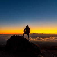 Portrait of a photographer (avatar) snowmoon