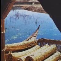 Portrait of a photographer (avatar) البيضاني ابو محمد