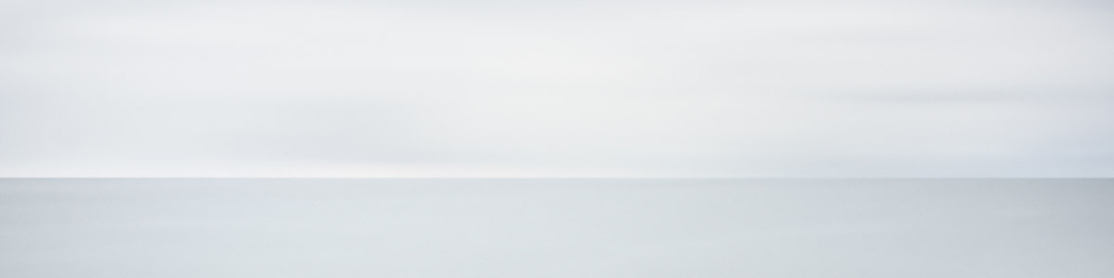 35Photo banner for @bird