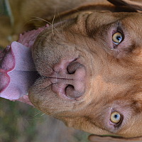 Portrait of a photographer (avatar) Vladimir Beresnev