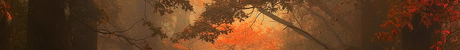 35Photo banner for @lenin
