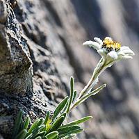 Portrait of a photographer (avatar) Юлиян Бориславов (Yulian Borislavov)