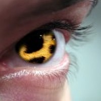 Portrait of a photographer (avatar) tantal