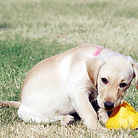 35Photo profile picture for @thakur