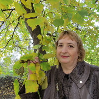 Portrait of a photographer (avatar) Лидия Дорошина (Lidiya Doroshina)