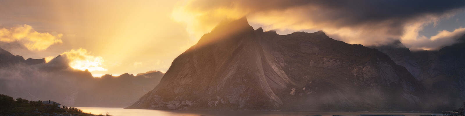 35Photo banner for @vern