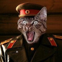 Portrait of a photographer (avatar) Дмитрий (Dmitry)