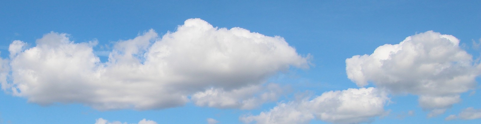 35Photo banner for @pasts