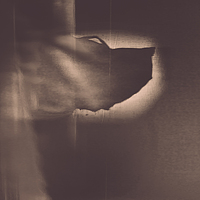 Portrait of a photographer (avatar) Марина Соболева (Marina Soboleva)