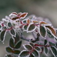 Photo Римма Волченко (Rimma Volchenko) Portrait of a photographer (avatar) Римма Волченко (Rimma Volchenko)