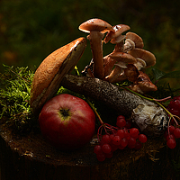 Portrait of a photographer (avatar) виктор Неонилин (Neonilin)