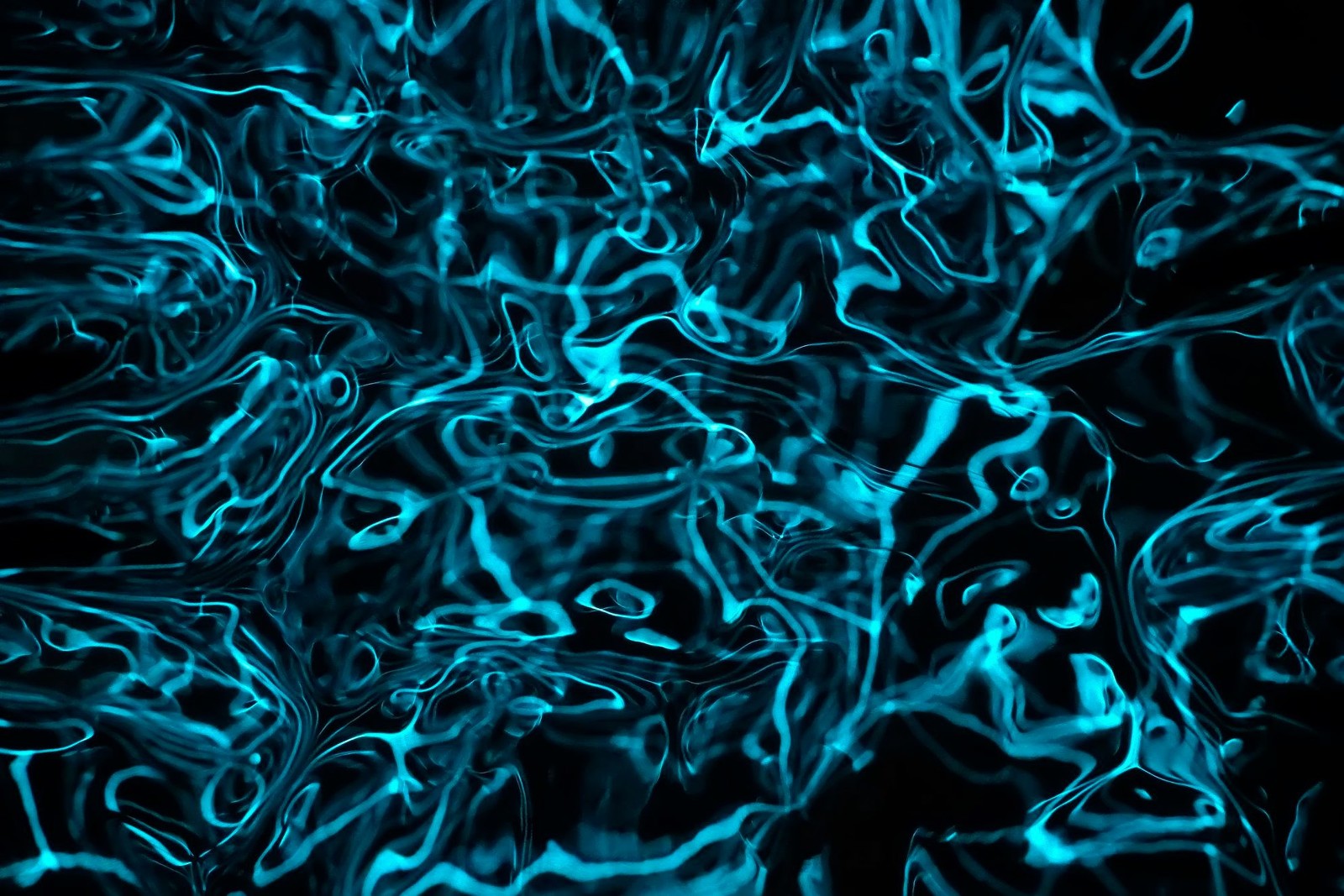 35Photo banner for @wise