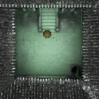 Portrait of a photographer (avatar) Nguyen Nguyen Quoc (Nguyen Quoc Nguyen)