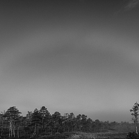 Portrait of a photographer (avatar) Eduards Kapsa