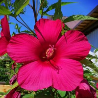 Photo Юлия Зеленева (Zeleneva Uliya) Portrait of a photographer (avatar) Юлия Зеленева (Zeleneva Uliya)