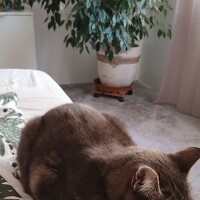 Photo Justyna Wasinkiewicz Portrait of a photographer (avatar) Justyna Wasinkiewicz