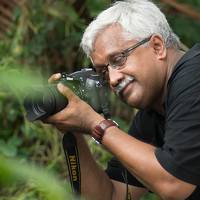 Portrait of a photographer (avatar) Ajayan Kavungal Anat