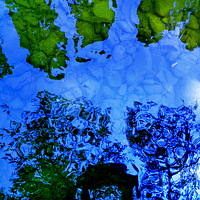 Photo Светлана Portrait of a photographer (avatar) Светлана