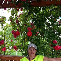 Portrait of a photographer (avatar) Eлена Вздорова (Elena Vzdorova)